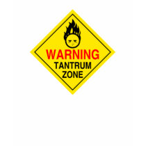 Tantrum Zone Shirt