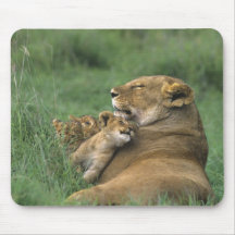 Tanzania, Ngorongoro Crater. African lion mother Mousepads