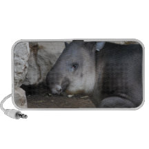 Tapir Speakers