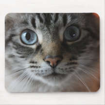 Tapis 0001 de souris de chat tapis de souris