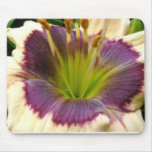 Tapis de souris : Daylily