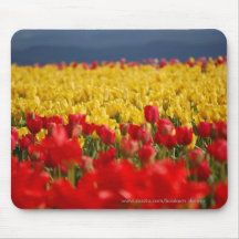 Tapis de souris de champ de tulipe