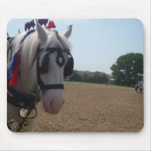 tapis de souris de cheval