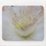 Tapis de souris de fleur de cactus de "paix"