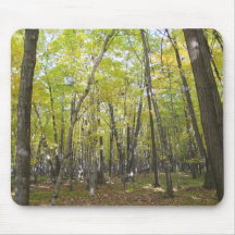 tapis de souris "de forêt encadrée"