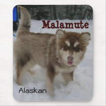 Tapis de souris de Malamute d'Alaska