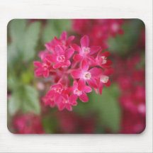 Tapis de souris rose couleur cerise de fleur