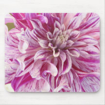 Tapis de souris rose de fleur de dahlia