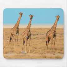 Tapis de souris - trio de girafes -