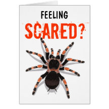Tarantula Birthday Card