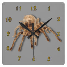 Tarantula plain Wall Clock