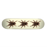 Tarantula Skateboard Decks