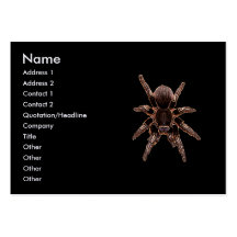 Tarantula Spider Business Card Template