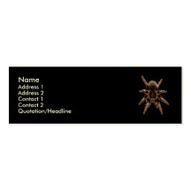 Tarantula Spider Business Card Template