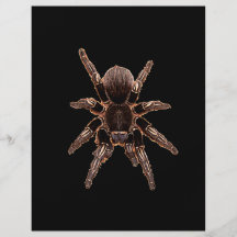 Tarantula Spider Flyers