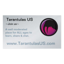 TarantulasUS Buisness Card Business Card Template
