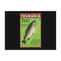 Tasmania The anglers' paradise Post Card