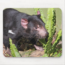Tasmanian Devil, Australia Mouse Mat