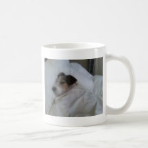 Tasse