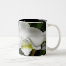 Tasse 2 d'orchidée