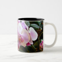 Tasse 6 d'orchidée