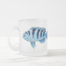 Tasse africaine de Cichlids de Kennyi