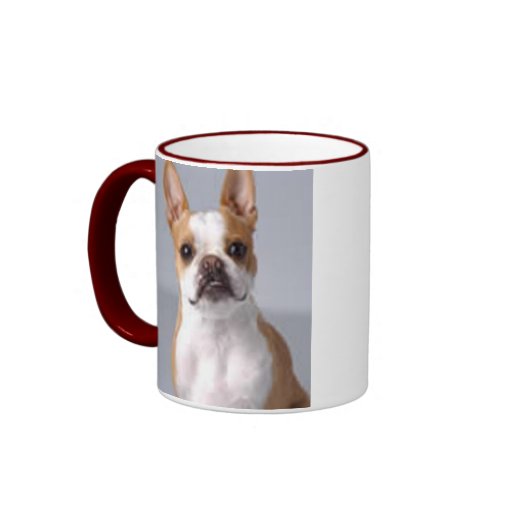 Tasse brun clair de chien de Boston Terrier