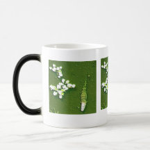 Tasse d'alligator de la Floride
