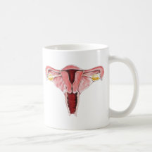 Tasse d'appareil génital féminin