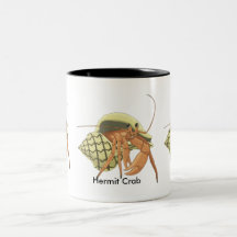 Tasse de bernard l'ermite