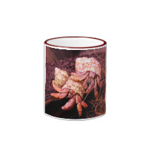 Tasse de bernard l'ermite