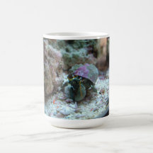 Tasse de café de bernard l'ermite