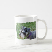 Tasse de café de Schnauzer