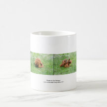 Tasse de café d'orang-outan