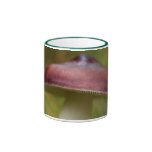 Tasse de champignon
