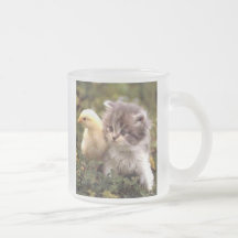 Tasse de chaton et de poussin de bébé
