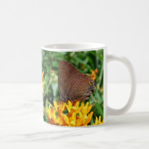 Tasse de ~ de papillon de Hairstreak