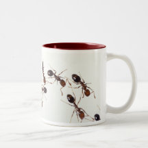 tasse de fourmi