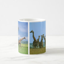 Tasse de girafes troupeau