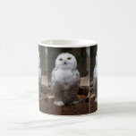 Tasse de hibou de Milou