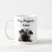 Tasse de lois de propriété de carlin