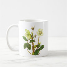 Tasse de rose de Noël