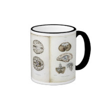 Tasse d'impression d'anatomie de cerveau