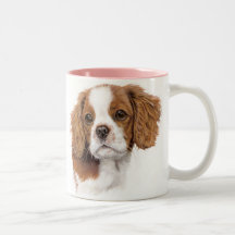 Tasse : épagneul de roi Charles cavalier