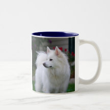 Tasse esquimaude américaine