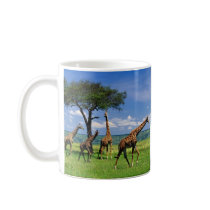 Tasse Giraffen Herde