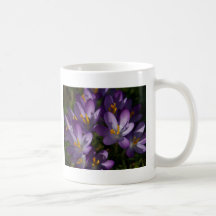 Tasse | Kaffeetasse Krokusse de crocus