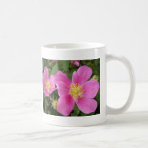 Tasse rose sauvage d'Alberta