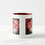 Tasse rouge d'amaryllis