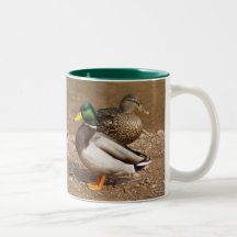 Tasse verte de canards de Mallard